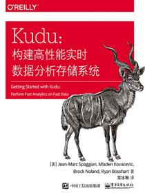 Kudu：构建高性能实时数据分析存储系统
