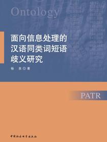 面向信息处理的汉语同类词短语歧义研究