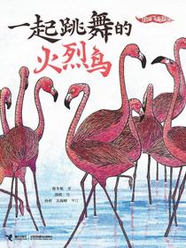 一起跳舞的火烈鸟（我的飞鸟朋友·你如此可爱）