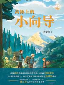 高原上的小向导