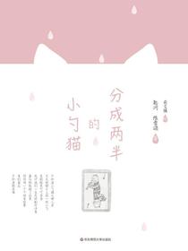 分成两半的小勺猫