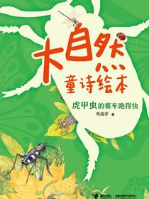 虎甲虫的赛车跑得快