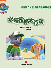 水塔抢修大行动
