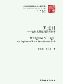 王道村：农村发展道路的探索者