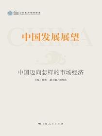 中国发展展望：中国迈向怎样的市场经济