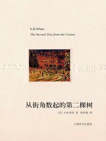 从街角数起的第二棵树