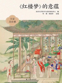 红楼梦的意蕴（大家美育课）