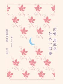 恋爱到底是什么一回事（新月派小全集）