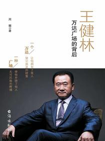 王健林：万达广场的背后