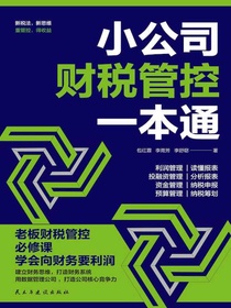 小公司财税管控一本通