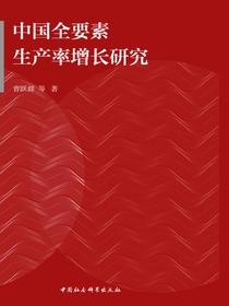 中国全要素生产率增长研究