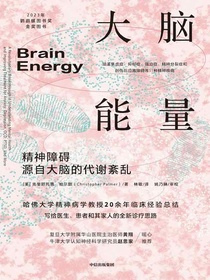 大脑能量