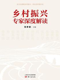 乡村振兴专家深度解读