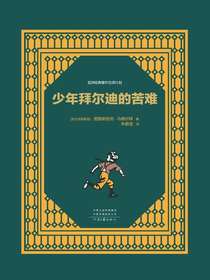 少年拜尔迪的苦难