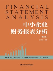 中小企业财务报表分析（第2版）