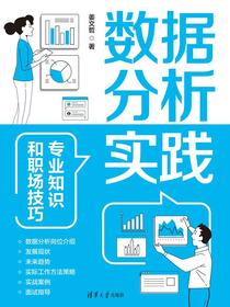 数据分析实践：专业知识和职场技巧