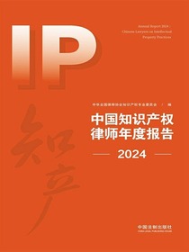 中国知识产权律师年度报告（2024）
