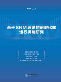 基于SNM理论的前孵化器运行机制研究