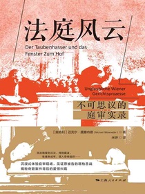 法庭风云：不可思议的庭审实录