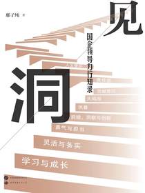 洞见：国企领导力行知录