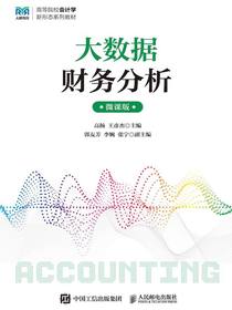 大数据财务分析（微课版）