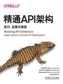 精通API架构：设计、运维与演进