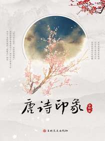 唐诗印象