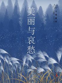 美丽与哀愁