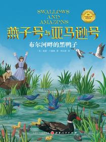 布尔河畔的黑鸭子（燕子号与亚马逊号）