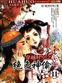穿越时空之绝色神偷2