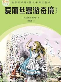 爱丽丝漫游奇境：全译本