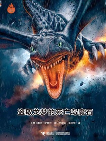 火翼飞龙4：盗取龙梦的死亡岛魔石