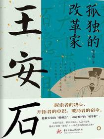 孤独的改革家：王安石