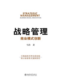 战略管理：商业模式创新