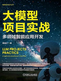 大模型项目实战：多领域智能应用开发