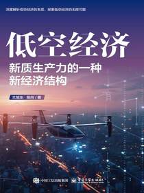 低空经济：新质生产力的一种新经济结构