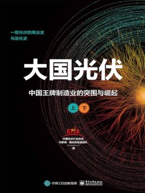 大国光伏：中国王牌制造业的突围与崛起（上、下）