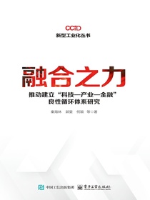 融合之力：推动建立“科技—产业—金融”良性循环体系研究