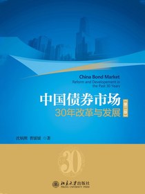 中国债券市场：30年改革与发展（第二版）