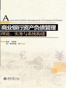 商业银行资产负债管理：理论、实务与系统构建