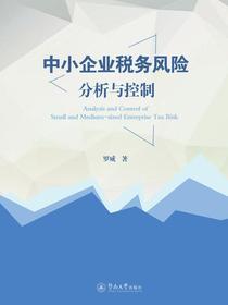 中小企业税务风险分析与控制