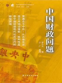 中国财政问题