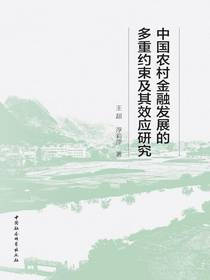 中国农村金融发展的多重约束及其效应研究