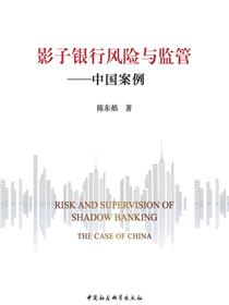 影子银行的风险与监管：中国案例