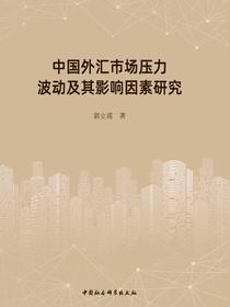 中国外汇市场压力波动及其影响因素研究