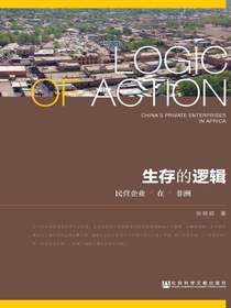 生存的逻辑：民营企业在非洲