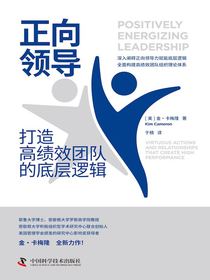 正向领导：打造高绩效团队的底层逻辑