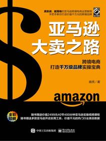 亚马逊大卖之路：跨境电商打造千万级品牌实操宝典（全彩）