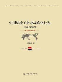 中国情境下企业战略化行为：理论与实践