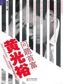 问题首富黄光裕